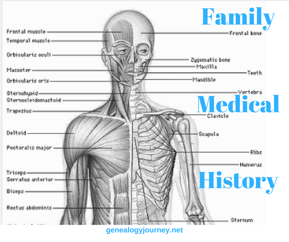 medical history