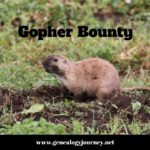 Gopher Bounty