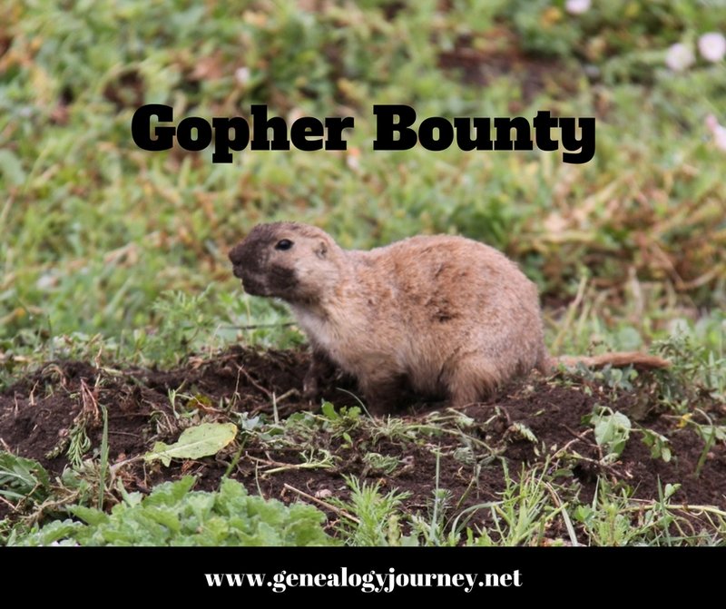 Gopher Bounty